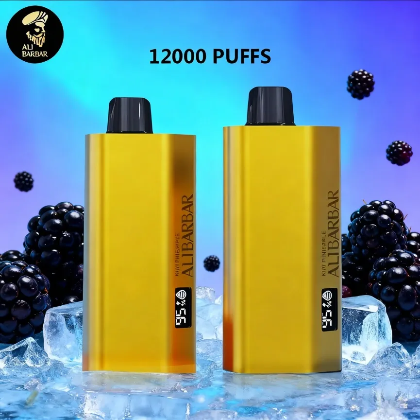 ALIBARBAR TEQ 12000 PUFFS - BLACKBERRY ICE
