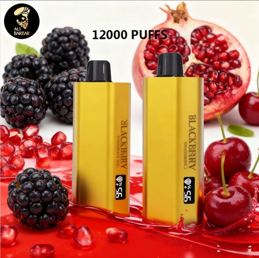 ALIBARBAR TEQ 12000 PUFFS - BLACKBERRY POMEGRANATE CHERRY
