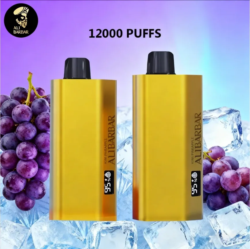 ALIBARBAR TEQ 12000 PUFFS - GRAPE ICE