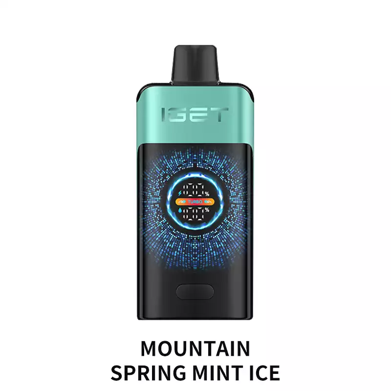 IGET One 12000 Puffs - MOUNTAIN SPRING MINT ICE